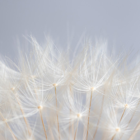 Lightness