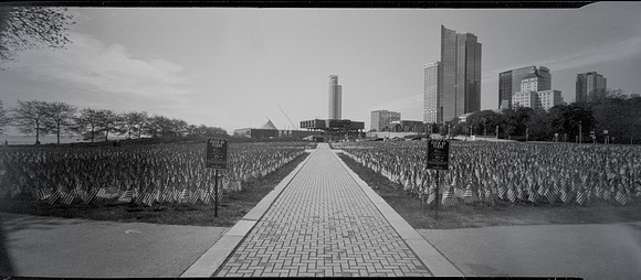 Field of Flags 2